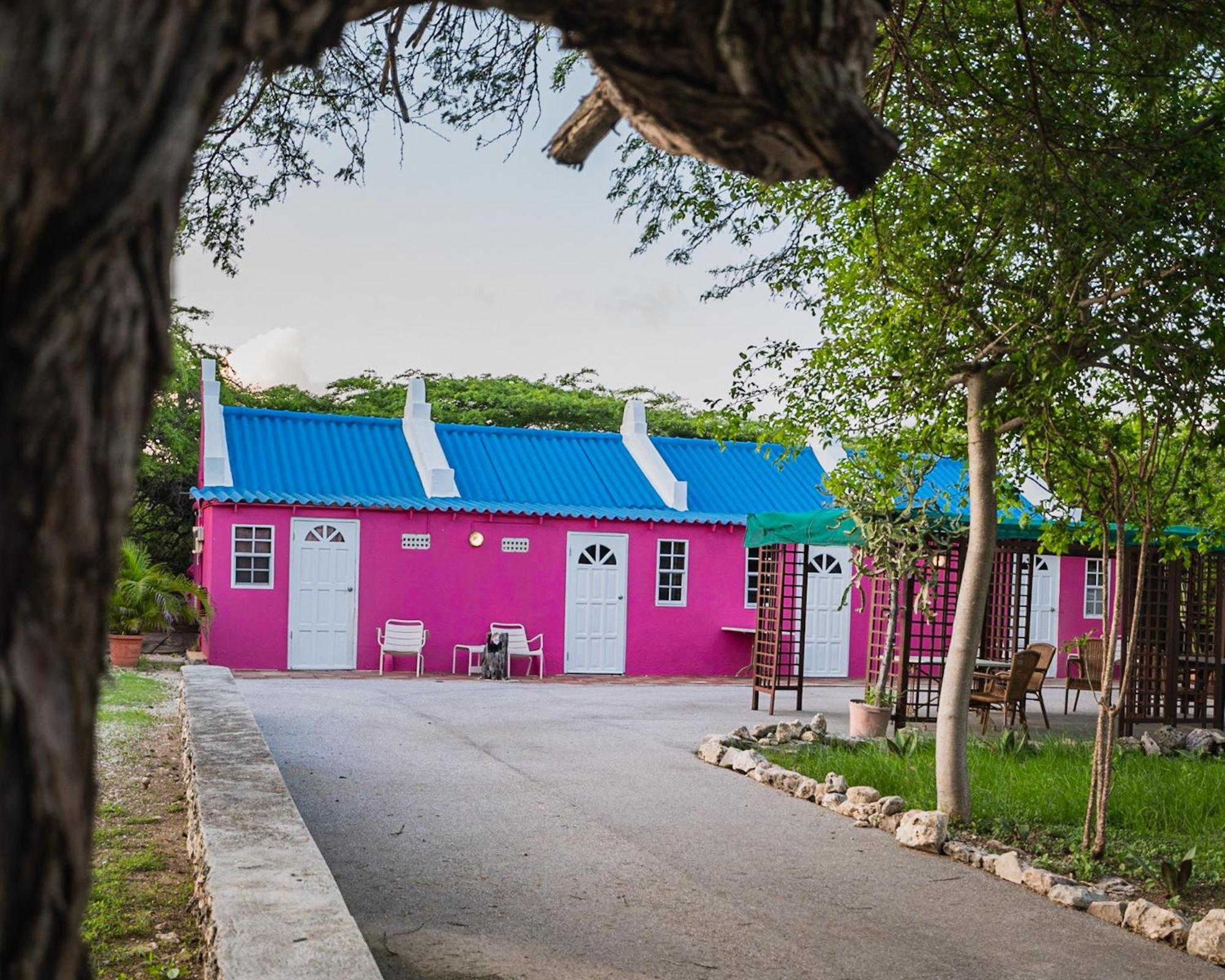 Landhuis Daniel - Plantation House Tera Kora Εξωτερικό φωτογραφία