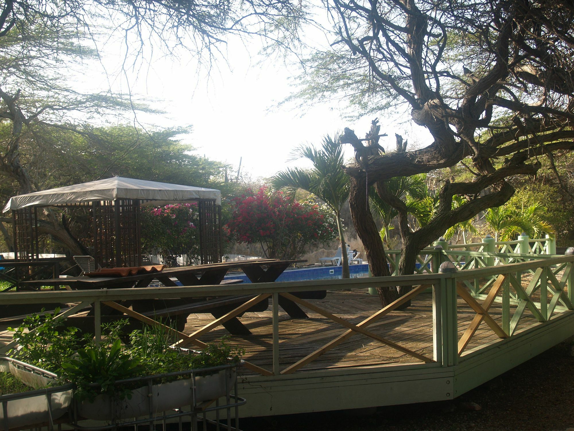 Landhuis Daniel - Plantation House Tera Kora Εξωτερικό φωτογραφία